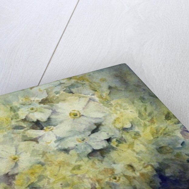 Anemone Japonica - White Queen and Molu by Karen Armitage