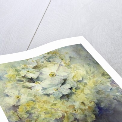 Anemone Japonica - White Queen and Molu by Karen Armitage