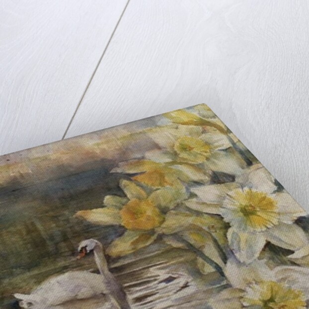 Swans at Hurst by Karen Armitage