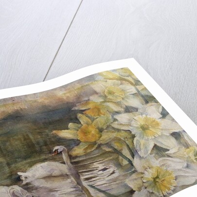 Swans at Hurst by Karen Armitage