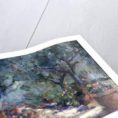 Garden in Porto Ercole, Italy, 1996 by Karen Armitage