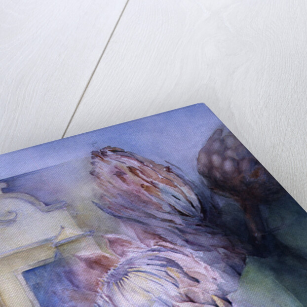 Protea at Stellenbosch, 1992 by Karen Armitage