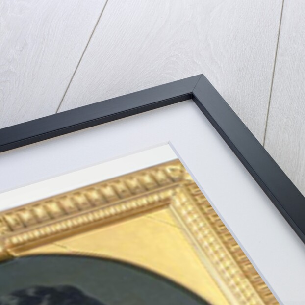 Portrait of Emilia Sampieri, 1870 by Alessandro Franchi