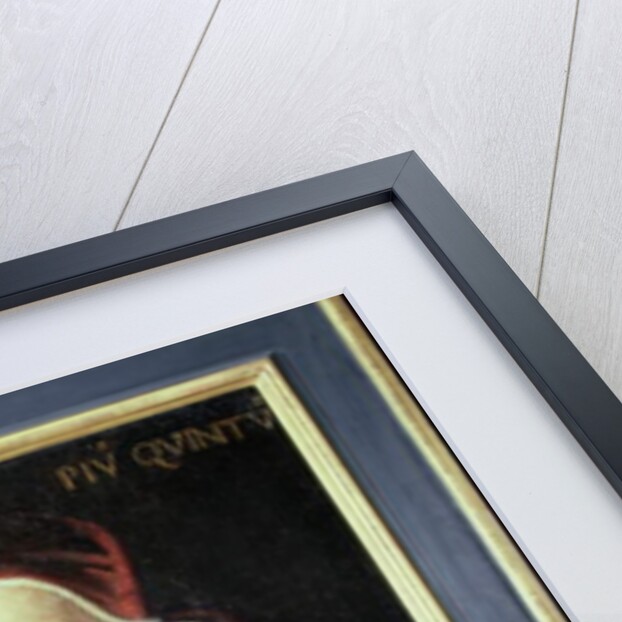 Portrait of Pope Pius V by Italian School