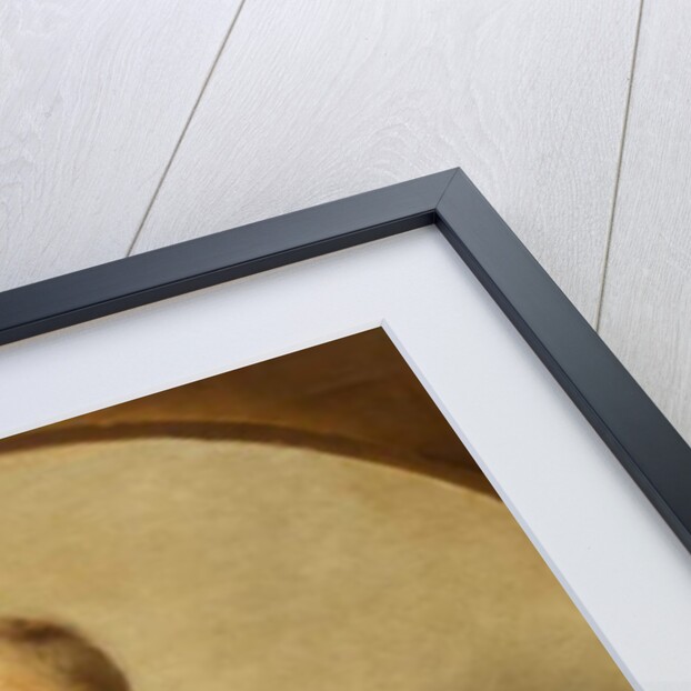 Portrait of Antonio Riccobono by Giovanni Battista Tiepolo