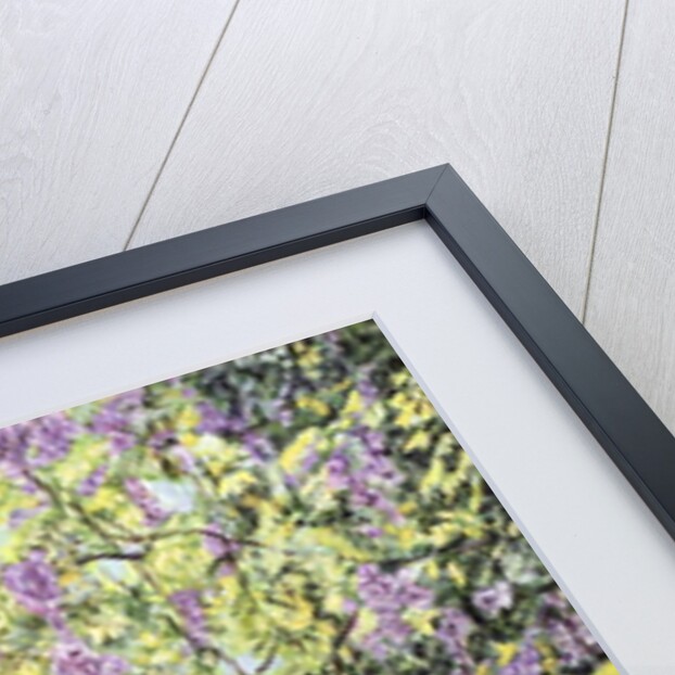 When Wisterias Blossom, 1989 by Komi Chen