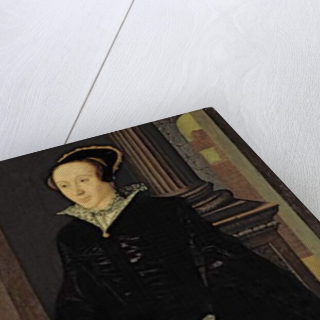 Portrait of a Lady in Black, probably Lady Margaret Arundell, c.1553 by Guillaume Scrots