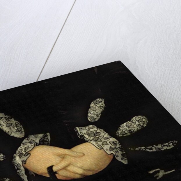 Blackwork embroidery, c.1546 by Guillaume Scrots