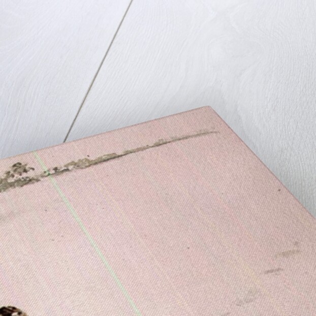 Springer Spaniel in the Snow by Suzi Kennett