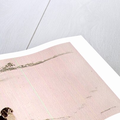 Springer Spaniel in the Snow by Suzi Kennett