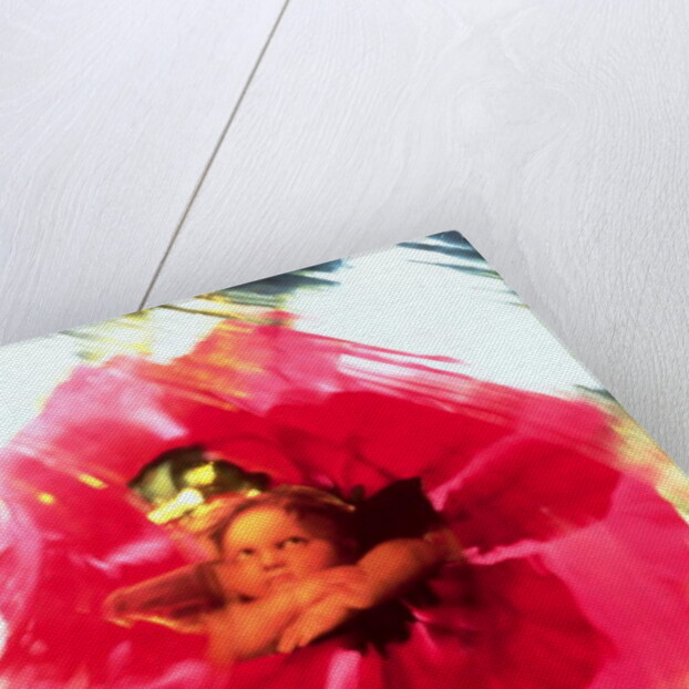 Angel and Poppy by Katherine Fawssett