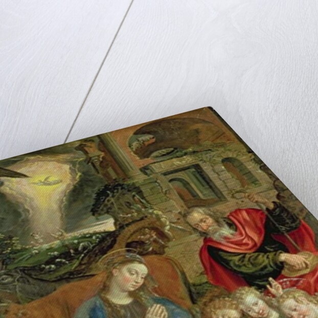 Birth of Christ by Maarten de Vos