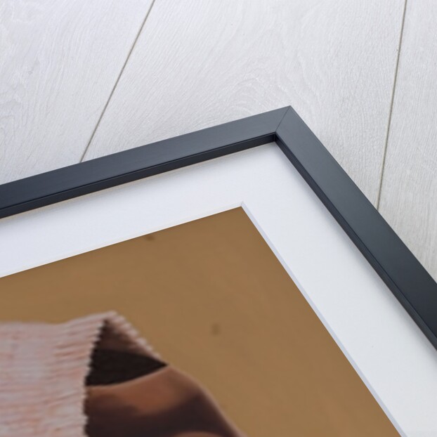 Hood Boy, 2007 by Kaaria Mucherera