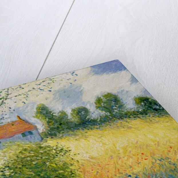 The Meadow Path by Richard Kretchmer