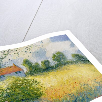 The Meadow Path by Richard Kretchmer