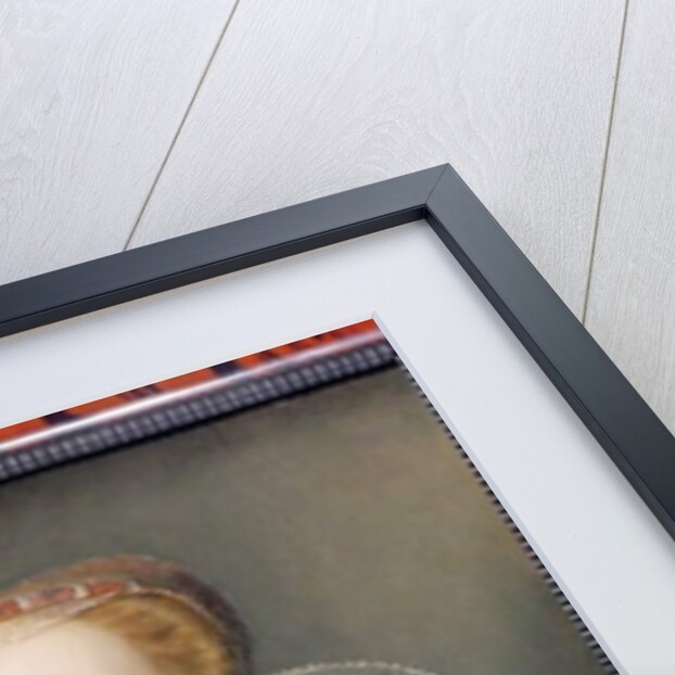 Portrait of a Lady by Francois Clouet