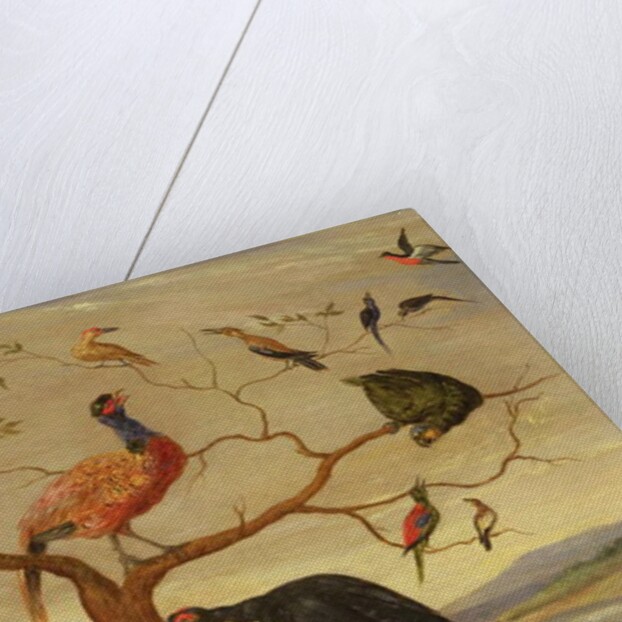 A Concert of Birds by Jan van the Elder Kessel