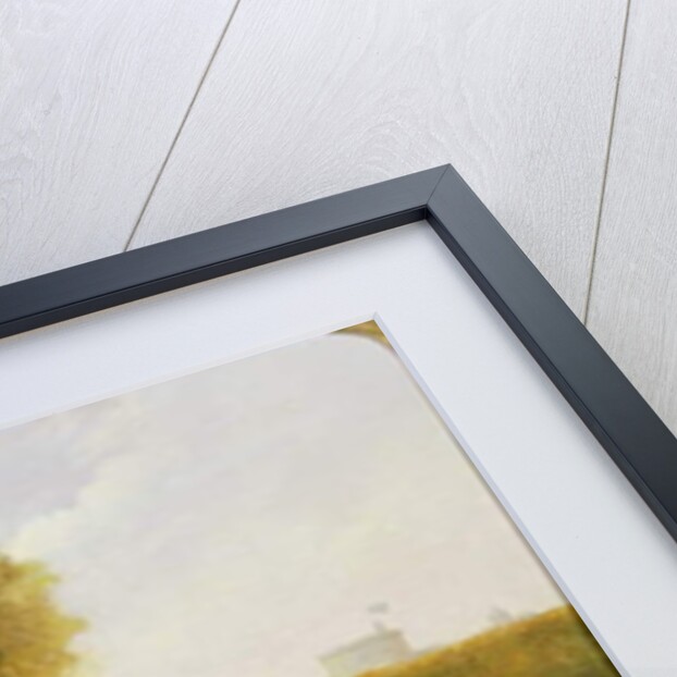 Queen Victoria, Prince Albert and the Prince of Wales at Windsor Park with their Herd of Llamas by English School