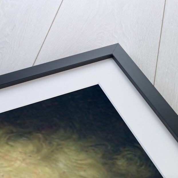 Bust of an Old Man with a Gold Chain by Rembrandt Harmensz. van Rijn