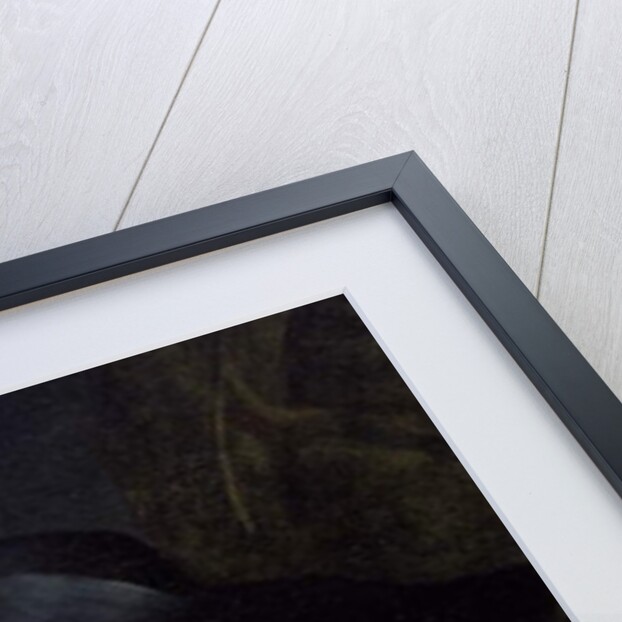 Full Length Portrait of a Standing Man, 1639 by Rembrandt Harmensz. van Rijn