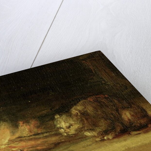 Cat by Rembrandt Harmensz. van Rijn