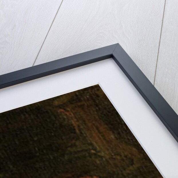 Cat by Rembrandt Harmensz. van Rijn