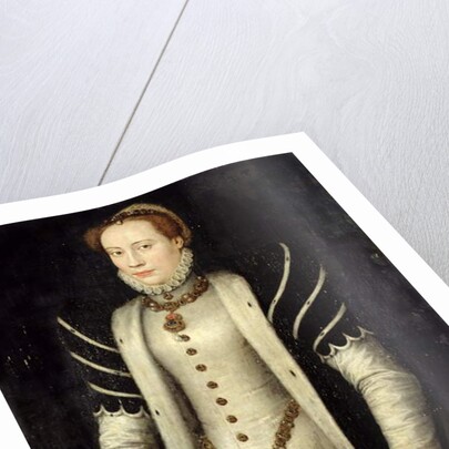 Portrait of a Noblewoman with a Puppy, 1555 by Anthonis van Dashorst Mor