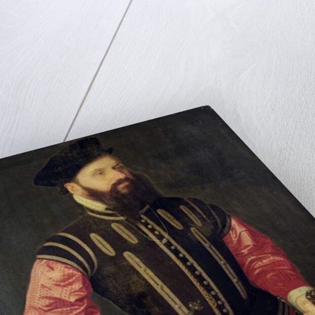 Portrait of Hieronimus Koler by Nicolas Neufchatel