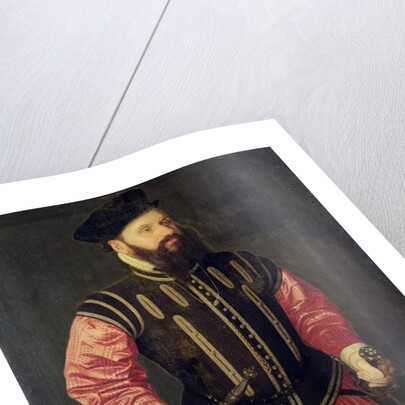 Portrait of Hieronimus Koler by Nicolas Neufchatel