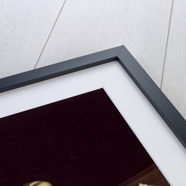 The Singing Exam, 1669 by Jacob Ochtervelt