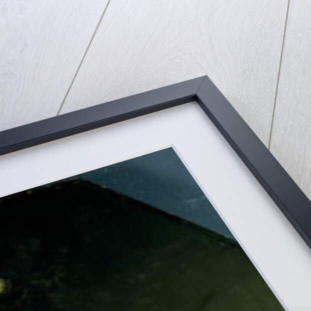 Self Portrait with Helmet, 1634 by Rembrandt Harmensz. van Rijn