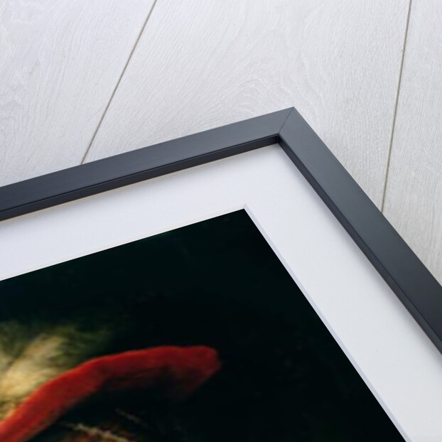 Portrait of Saskia van Uylenburgh by Rembrandt Harmensz. van Rijn