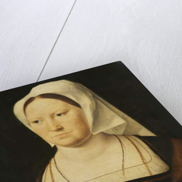 Portrait of a Woman, 1525 by Joos van Cleve