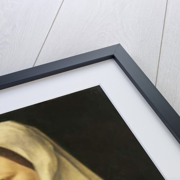 Portrait of a Woman, 1525 by Joos van Cleve