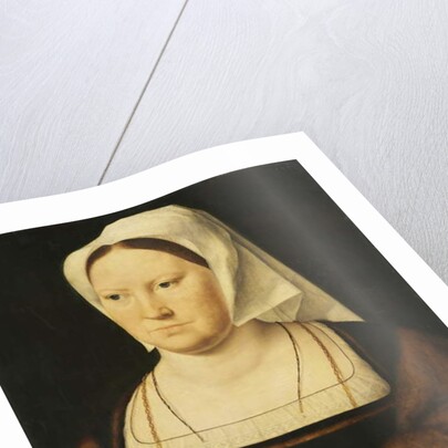 Portrait of a Woman, 1525 by Joos van Cleve