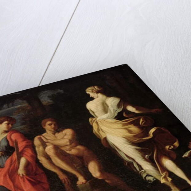 Hercules at the Crossroads by Annibale (Copy) Carracci