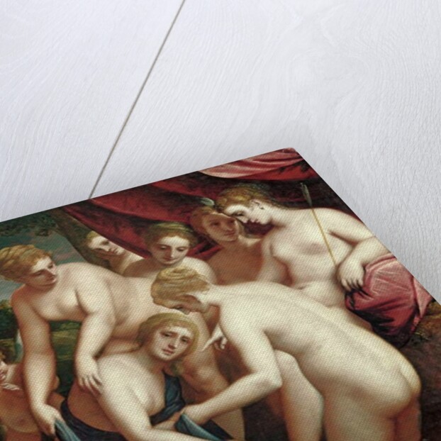 Diana Discovering the Pregnancy of Callisto, 1570 by Luca Cambiaso