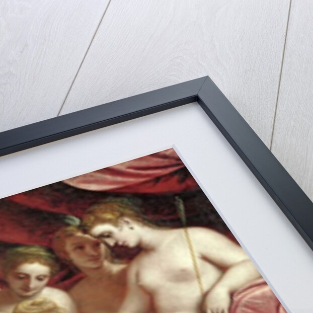 Diana Discovering the Pregnancy of Callisto, 1570 by Luca Cambiaso