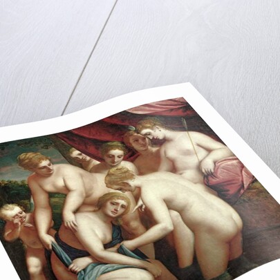 Diana Discovering the Pregnancy of Callisto, 1570 by Luca Cambiaso