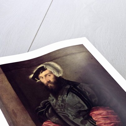 Portrait of a Nobleman by Italian School