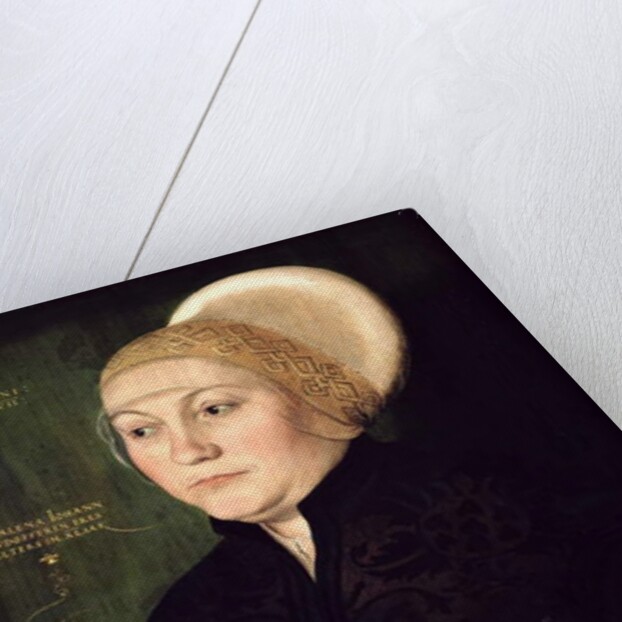 Portrait of Magdalena Neudorffer 1527 by Barthel Beham