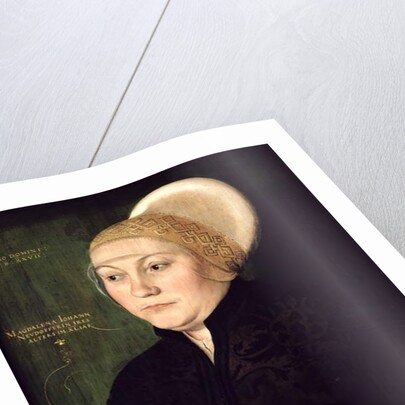 Portrait of Magdalena Neudorffer 1527 by Barthel Beham