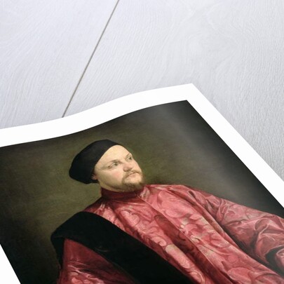 Portrait of a Venetian Senator, 1540 by Jacopo Bassano