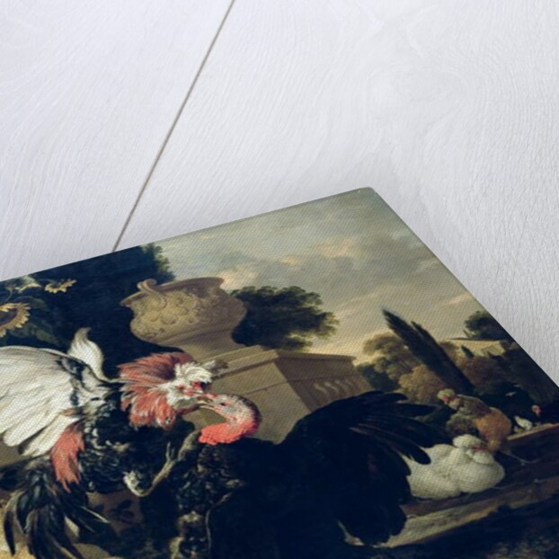 Fight between a Rooster and a Turkey, 1668 by Melchior de Hondecoeter