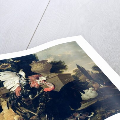 Fight between a Rooster and a Turkey, 1668 by Melchior de Hondecoeter