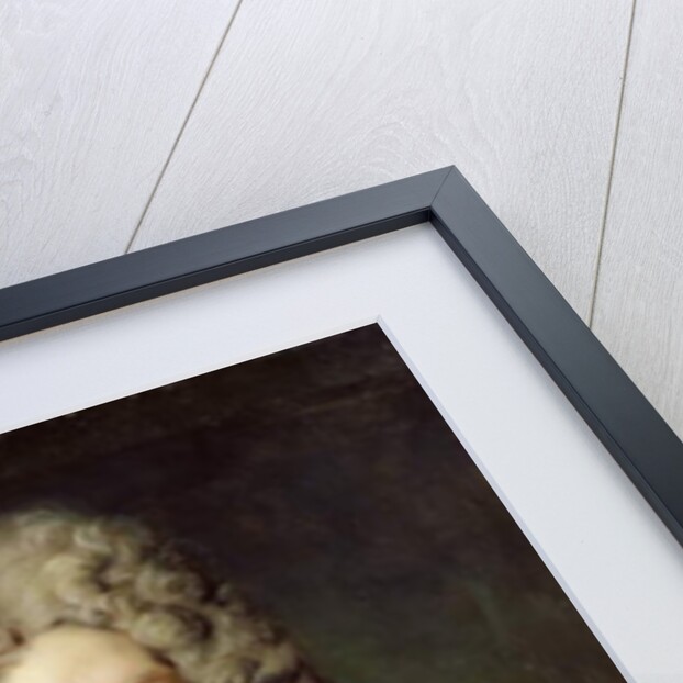 Portrait of a Man Wearing a Violet Robe, c.1700 by Nicolas de Largilliere