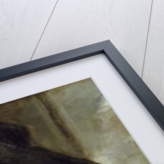 The Man with the Slouch Hat, after 1660 by Frans Hals