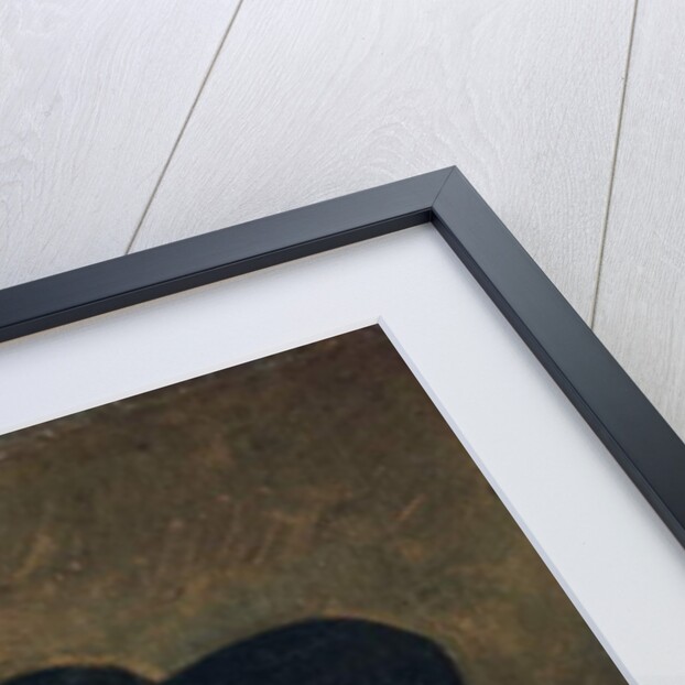 A Small Portrait of a Man Holding Gloves, c.1642 by Frans Hals