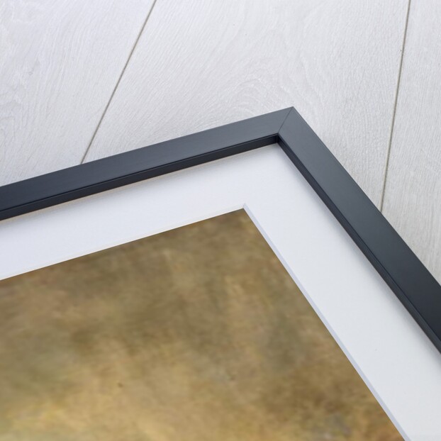 Peeckelhaering, 1640-43 by Frans Hals