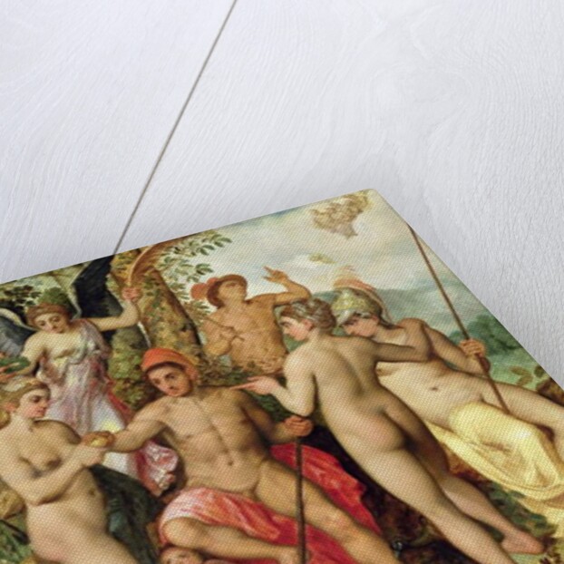 The Judgement of Paris, 1548 by Frans Floris